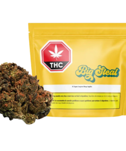 Thrifty - BC Organic Sun Grown Mango Sapphire (HYBRID)