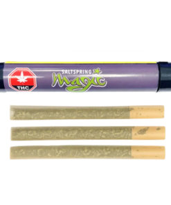 Salt Spring Magic - Hella Jella PR 3 x 0.5 g (SATIVA)