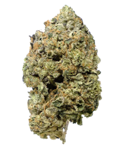 Alternative view of Pistol and Paris - Pink Goo (INDICA)