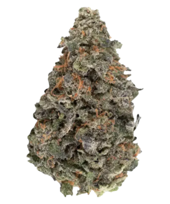 Alternative view of Simply Bare - BC Organic Luv Affair (INDICA)