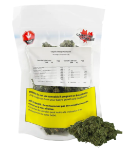 Canadian Cannabis - Organic Mango Hashplant (INDICA)