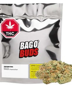 Big Bag O' Buds - Tropicanna Tangie (INDICA)