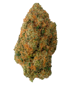 Alternative view of Dom Jackson - Gas Pack (HYBRID)