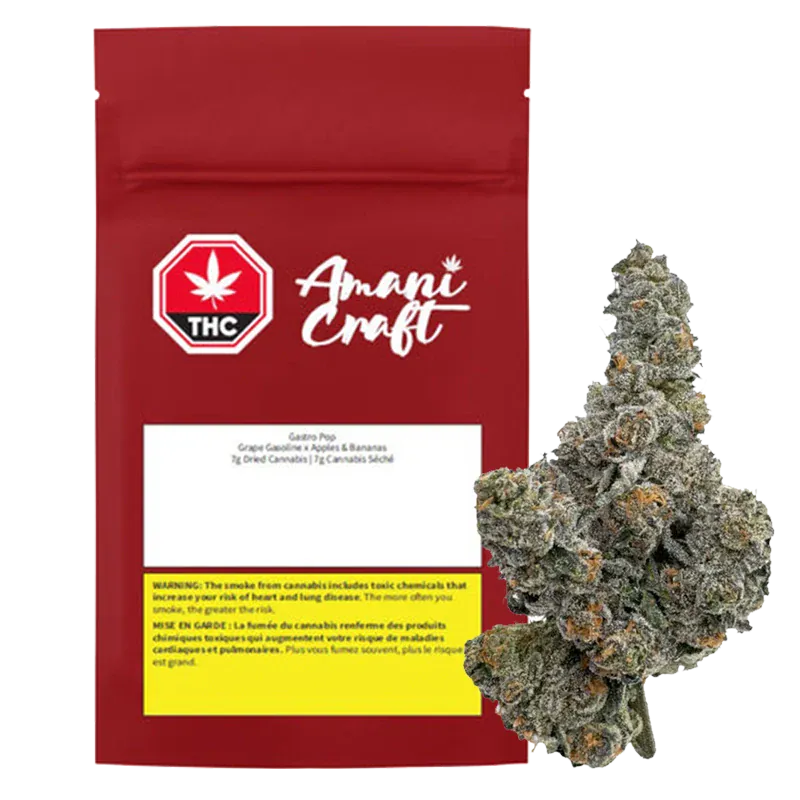 Amani Craft - Gastro Pop (HYBRID)