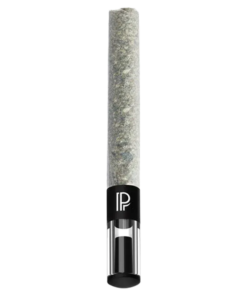 Alternative view of Pistol and Paris - Blue Zushi PR 1 x 2 g (INDICA)