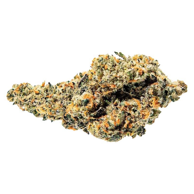 True Fire - Tropical Meltdown (SATIVA) - Image 2