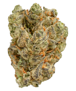 Alternative view of Pepe - Peach Tree (SATIVA)