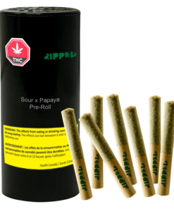 Ripped - Sour x Papaya PR 7 x 0.5 g (HYBRID)
