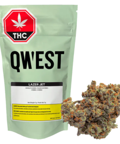 Qwest - Lazer Jet Craft (HYBRID)