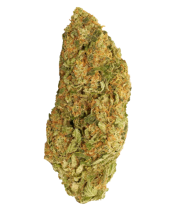 Alternative view of Good Supply - Blueberry Donuts (INDICA)