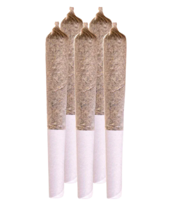 Alternative view of Station House - Blue Dream PR 5 x 0.5 g (SATIVA)