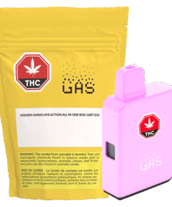 GAS - Golden Guava Live Action AIO Disposable Vape (SATIVA)
