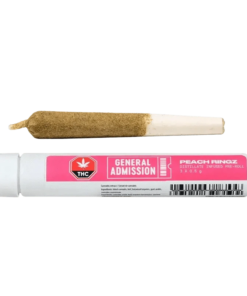 General Admission - Peach Ringz Infused PR 1 x 1 g (SATIVA)