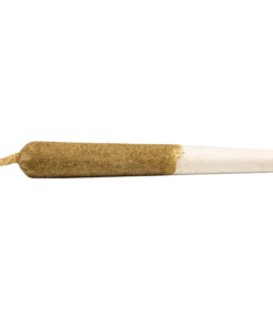 Alternative view of General Admission - Peach Ringz Infused PR 1 x 1 g (SATIVA)