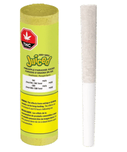 Good Supply Juiced - Pineapple Paradise Juiced Infused PR 5 x 0.5 g (HYBRID)