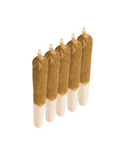 Alternative view of General Admission - Rainbow Sherb Distillate Infused PR 5 x 0.5 g (HYBRID)