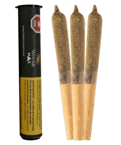 Weed Me Max - Mango Madness Infused PR 1 x 0.5 g (INDICA)