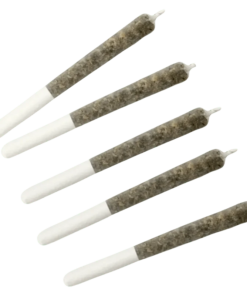 Alternative view of Dime Bag - Wildcat Serum Pocket Rockets Infused PR 5 x 0.5 g (HYBRID)