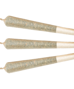 Alternative view of XPLOR - Watermelon G-Bear Distillate Infused PR 1 x 1 g (INDICA)