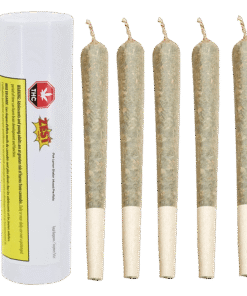 Zest - Pink Lemon Shatter Infused PR 5 x 0.5 g (HYBRID)