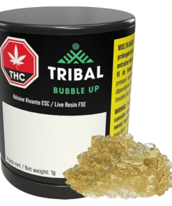 Tribal - Bubble Up Live Resin (INDICA)