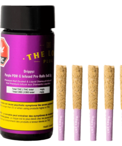 The Loud Plug - Drippyz Purple Pom-G Infused PR 5 x 0.5 g (INDICA)