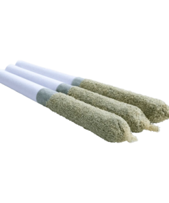 Alternative view of Super Toast - Shark Bite Toasters Infused PR 3 x 0.5 g (INDICA)