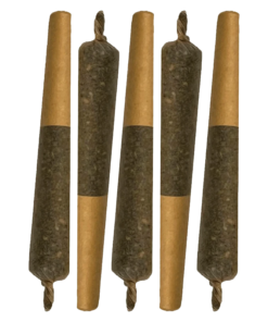 Alternative view of Sheeesh - Key Lime Slice Cured Resin Infused PR 5 x 0.5 g (INDICA)