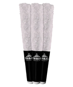 Alternative view of Tribal - Bubble Up Trifecta Infused PR 3 x 0.6 g (INDICA)