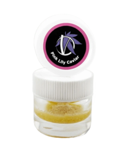 Alternative view of Virtue - Pink Lily Caviar (HYBRID)