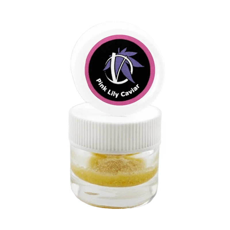 Virtue - Pink Lily Caviar (HYBRID) - Image 2