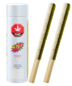 Tenzo - Wtf Slimsicles Infused PR 2 x 0.5 g (SATIVA)
