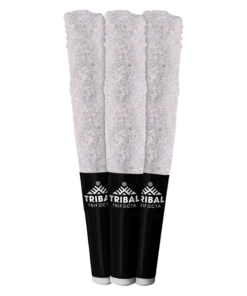 Alternative view of Tribal - Porto Leche Trifecta Infused PR 3 x 0.6 g (HYBRID)