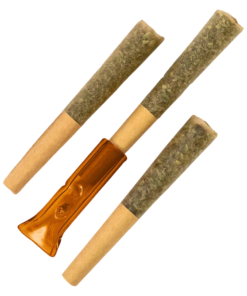 Alternative view of Pure Sunfarms - Gold Face Hash Rosin Infused PR 3 x 0.5 g (SATIVA)