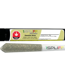 1Spliff - Hawaiian Snow Infused PR 3 x 0.5 g (SATIVA)