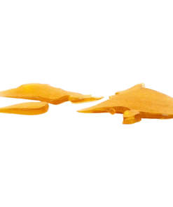 Alternative view of HOTBOX - House Shatter