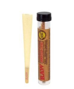 RAW - Raw Rocket Booster Cones - Lemon Fuel