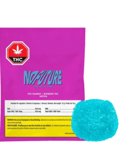 No Future - The Blue One (SATIVA)