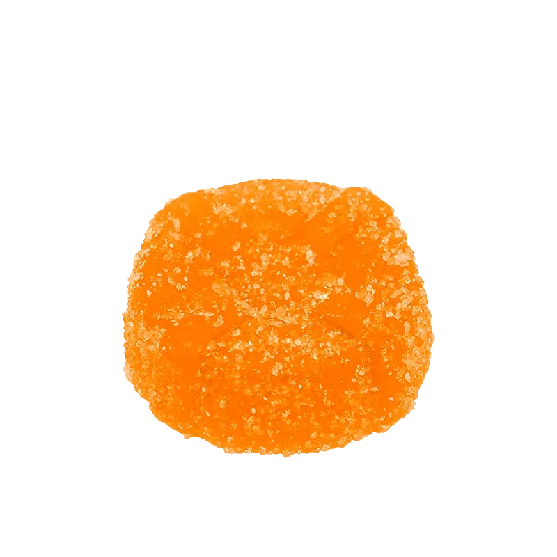 No Future - The Orange One (INDICA) - Image 2