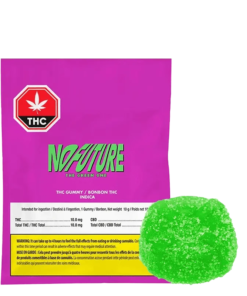 No Future - The Green One (INDICA)