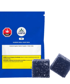 Wana - Blueberry Gummies (INDICA)