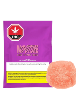 No Future - The Pink One (SATIVA)