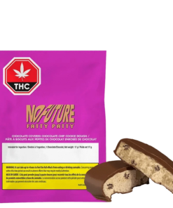 No Future - Fatty Patty Chocolate Covered Chocolate Chip Cookie (HYBRID)