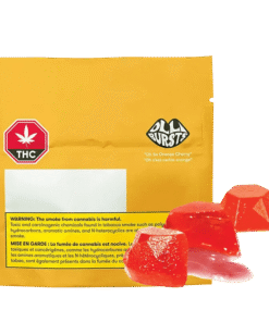 Olli Bursts - Oh So Orange Cherry Gummies (HYBRID)