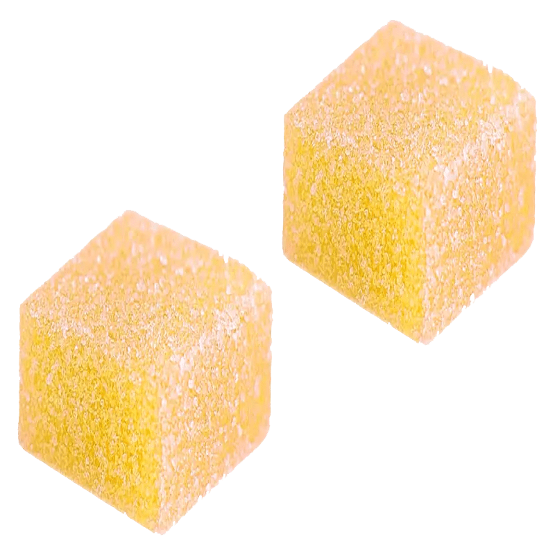 Port North - Lemon Hashers Gummies (INDICA) - Image 2