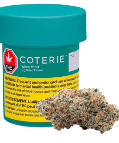 Coterie - Alien Mintz (SATIVA)