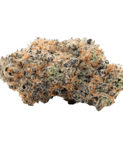 Alternative view of Coterie - Alien Mintz (SATIVA)