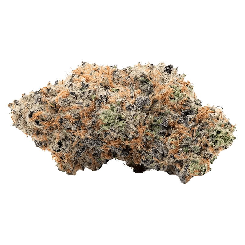 Coterie - Alien Mintz (SATIVA) - Image 2
