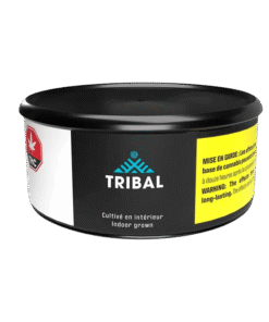Tribal - Galactic Runtz FSE Resin (INDICA)