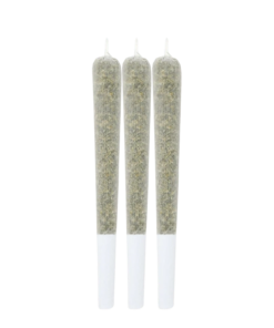 Alternative view of Infuzed by Lamplighter - Lychee Bubble Tea Infused PR 3 x 0.5 g (HYBRID)